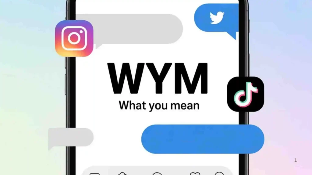 💬 Examples of What Do WYM Mean in Text in Conversation